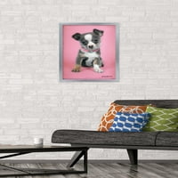Keith Kimberlin-Puppy rózsaszín háttér fal poszter, 14.725 22.375