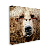 Stupell vadvilág grizzly medve szemüveg állatok és rovarok festés galéria csomagolt vászon nyomtatott fal művészet
