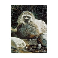 Védjegy Képzőművészet 'Low Water Raccoon' vászon művészete, Ron Parker