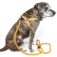 Pet Life GmbH 'Easy Tension' fényvisszaverő varrott állítható 2-in-Pet kutya póráz és hám