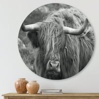 Designart 'A skót tehén bezárása a Moorland i' Farmhouse Circle Metal Wall Art - 23 -as lemez