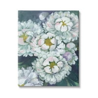 Stupell Bolyhos Fehér Virágszirmok Természet Botanikai & Virágos Festmény Galéria Csomagolva Vászon Nyomtatás Wall