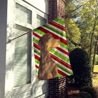 Caroline kincsei SS4548-zászló-szülő Doberman Candy Cane Ünnep Karácsonyi zászló, Többszínű