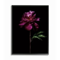 A Stupell Industries virág hosszú szárú fekete lila természetű fénykép keretes fal art dizájn, Elise Catterall, 11