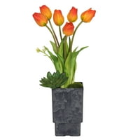Vickerman 18 narancssárga tulipánok négyzet alakú vázában