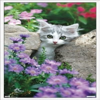 Keith Kimberlin-cica-kövek és virágok fali poszter, 14.725 22.375