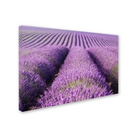 Védjegy képzőművészet 'Purple Hills' vászon művészet Michael Blanchette Photography