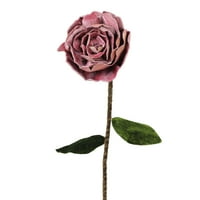 20 A természet luxus dekoratív poros rózsaszín bársony bazsarózsa virág szárát