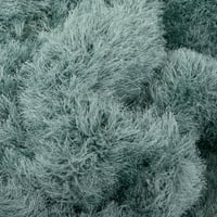 Jól szőtt kuki chie glam szilárd texturált ultra-soft világoskék 2'3 7'3 futó kéttónusú bozontos szőnyeg