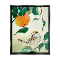 Stupell Industries madár ülő narancsfa ág levelek Festés Jet fekete úszó keretes vászon nyomtatott fali művészet, Robin
