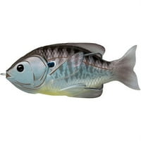 Sunfish Üreges Test