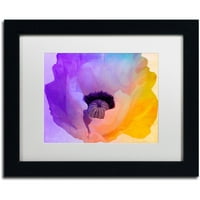 Védjegy Szépművészet Poppy Gradient III Canvas Art by Color Bakery White Matte, Fekete Frame