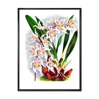 Designart 'White Vintage Orchide Flower II' 'Hagyományos keretes vászon fali művészet