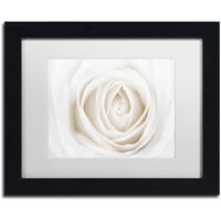 Védjegy képzőművészet 'Fehér Rózsa' vászon művészet Cora Niele, fehér matt, fekete keret