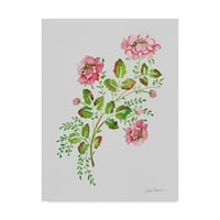 Védjegy képzőművészet 'Wild Rose Pink 1' vászon művészet Jean Plout