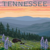Tennessee, medve és tavaszi virágok