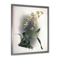 Designart 'ókori orchidea virág' hagyományos keretes művészeti nyomtatás