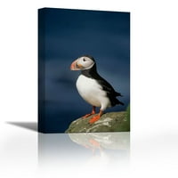 Atlantic Puffin felnőtt rock, Európa-Kortárs Képzőművészeti Giclee vászonra Galéria Wrap-fal d ons-art festészet-kész