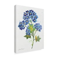 Védjegy képzőművészet 'Akvarell virágok 3' vászon művészet Jean Plout