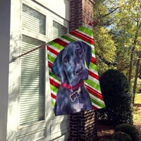 Carolines kincsek LH9593CHF Fekete Great Dane kiskutya Candy Cane Ünnep Karácsonyi zászló vászon ház mérete, ház mérete