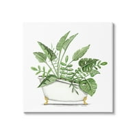 Stupell trópusi monstera növények szüreti kád tipográfia festménygaléria csomagolt vászon nyomtatott fal művészet