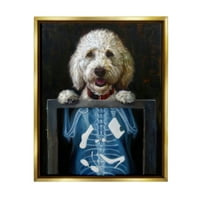 Stupell Industries vicces kutya röntgen snackek Állatok és rovarok Festés arany úszó keretes művészeti nyomtatási fal