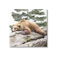 Csapell alvó barna medve vadon élő állatok és rovarok festés galéria csomagolt vászon nyomtatott fali művészet