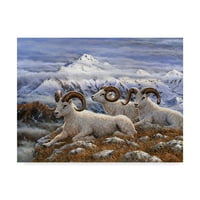 Jeff Tift, a Denali Rams 'vászon művészete
