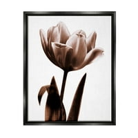 Stupell virágzó tulipos sziluett botanikai és virágfotózás fekete úszó keretes művészeti nyomtatási fal művészet