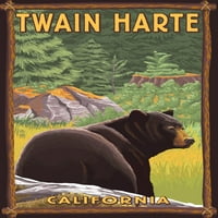 Twain Harte, Kalifornia, fekete medve az erdőben