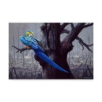 Védjegy képzőművészet 'kék és sárga ara égett erdőben' vászon művészet Harro Maass