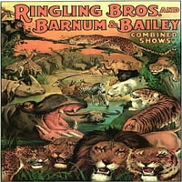 Ringling Bros Barnum & Bailey Vadon Élő Állatok Poszter Nyomtatás