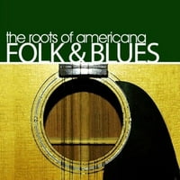 Amerikai gyökerek, Folk & Blues