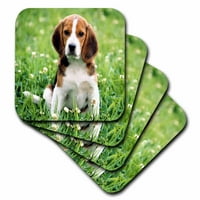 A szerelem egy beagle készlet alátétek-puha cst-55198-1