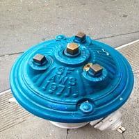 Kék tűzcsap II Poszter Nyomtatás szürkeárnyalatos szürkeárnyalatos